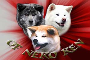 of Neko-Ken
